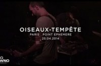 Oiseaux-Tempête – Live in Paris